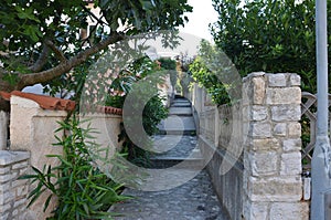 road to the sea, croatia, istria