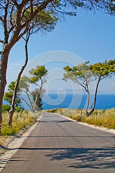 Road to the sea. Island view.