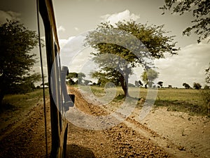 On the road to Serengeti, Ngorngoro, ,Manyara and Tarangire national parks, Tanzania