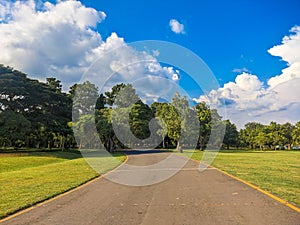 The Road to Serenity, Sunny Day Stroll