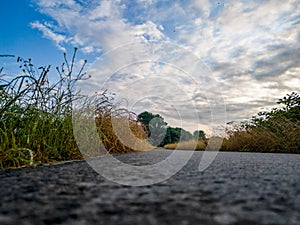 Road to the Skies: Low Perspective of a Countryside Path