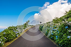 Road to the sky, Flores Island, Azores, Portugal