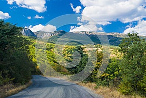 Road to sunny mountains