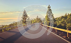 Road to Teide volcano on Tenerife