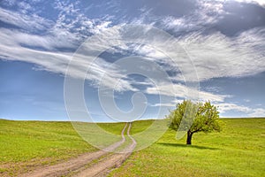 The road to tranquility photo