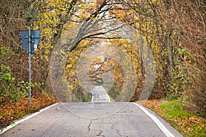 Road to vanishing point in fall colors