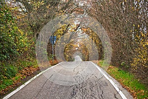 Road to vanishing point in fall colors