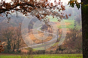 Road to vanishing point in fall colors