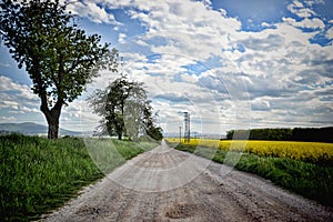 Road to the village, Slovakia