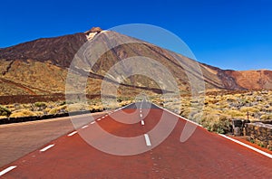 Road to volcano Teide at Tenerife island - Canary