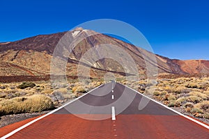 Road to volcano Teide at Tenerife island - Canary