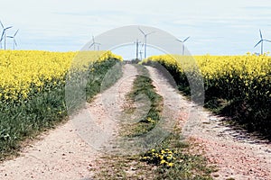 Road to wind turbines.