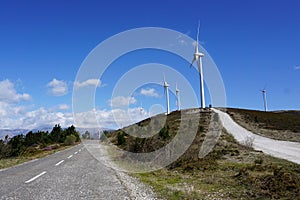 Road to windmills in wind park