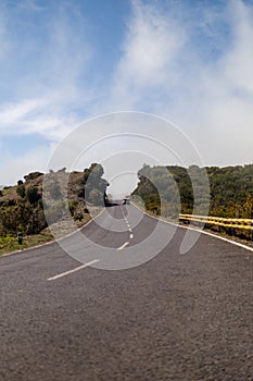 Road at the top of Madeira mountains