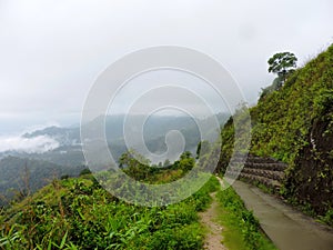 Road on the top of mountain with Mist rolling