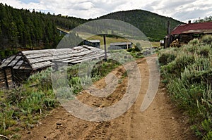 The Road Into Town