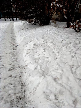 Road in the town Angarsk