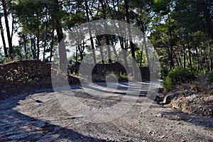 Road, track walk to the top of the mountain Puig de Sant Marti