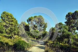 Road, track walk to the top of the mountain Puig de Sant Marti