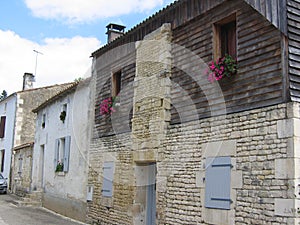 Road with traditional houses of the green Venise in the Poitevin marshland in France.