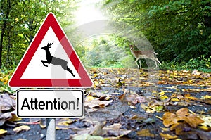 Road sign with deer crossing in the forest
