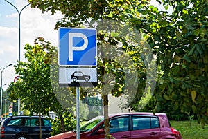 Road traffic sign parking for cars on a city street background showing how to correctly place their vehicles