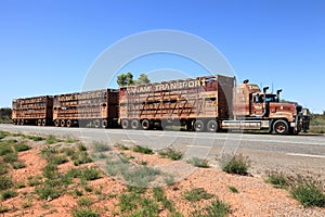 Road train parked on side of highway