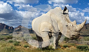 Travel in namibia from namib desert to boarder of angola photo