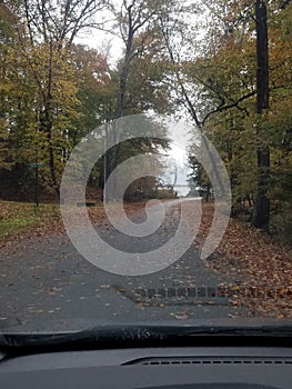 The Road Less Traveled