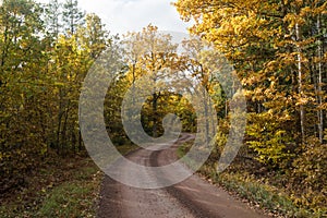 Road less travelled in fall colors photo