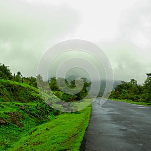 Road Less Travelled photo