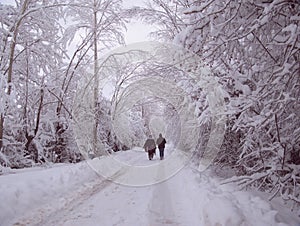 A road with trees on both sides and completely covered with snow, and a man and a woman walking on that road, their faces