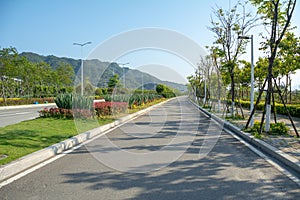 Road with trees on both sides in south china