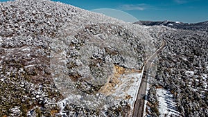 Road and trees covered in snow, drone aerial view in winter