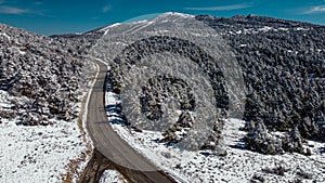 Road and trees covered in snow, drone aerial view in winter