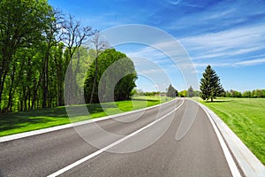 Road between trees and grass on roadside