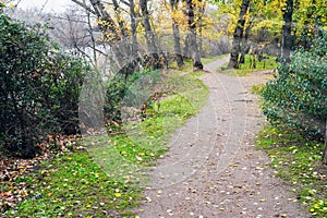 Road with trees by the river in autumn