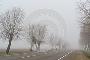 Road with trees on the side disappears in a thick fog. Cold autumn