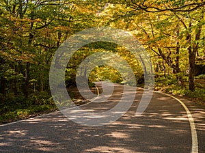 Road through trees in Smugglers Notch in Vermont