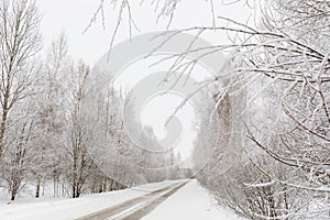 Road and trees in the snow in cloudy weather