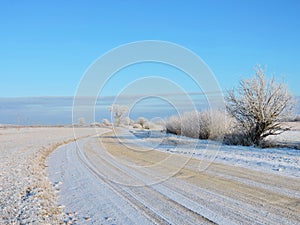 Road and trees in winter frost