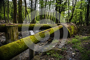 Old rusty waterpipes with tank in forest