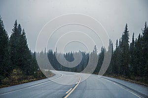 Road trip on highway with blizzard in coniferous forest at Banff national park