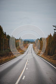 Road trip in the Kainuu region of Finland in autumn. Beautiful asphalt road surrounded by many leafy red-orange trees