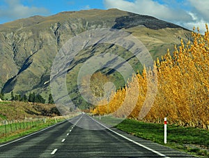 Road trip in New Zealand