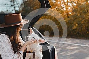 Road trip with pet. Stylish woman caressing cute white dog in car trunk at sunny autumn road