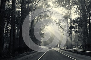 car travelling on road with sun rays shining through