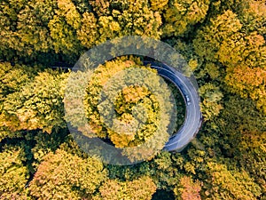 Road trip trough the forest on winding road in autumn season aerial view of a car on winding road