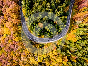 Road trip trough the woods in the middle of the autumn