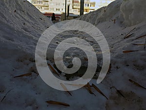 Road and trodden path in the snow